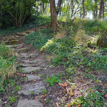 Apartmán Dependance Du Chateau - Kitchenette Gennes-Val-de-Loire