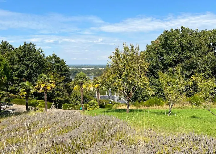 Dependance Du Chateau - Kitchenette * Gennes-Val-de-Loire