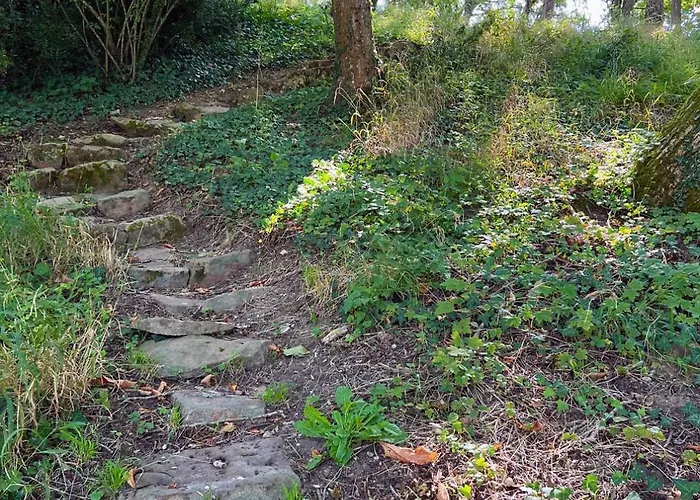Lägenhet Dependance Du Chateau - Kitchenette Gennes-Val-de-Loire