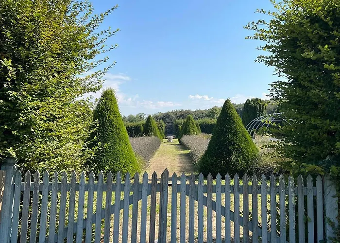 Lägenhet Dependance Du Chateau - Kitchenette Gennes-Val-de-Loire